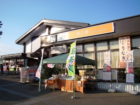 1024px-MakinoharaSA