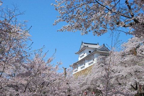 1280px-津山城_備中櫓と桜