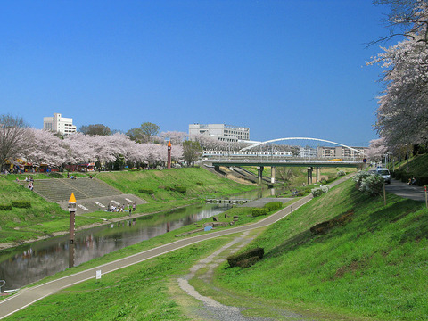1024px-Nagareyama_Tone_Canal_In_Spring_1