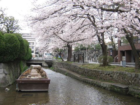 1280px-高瀬川2583