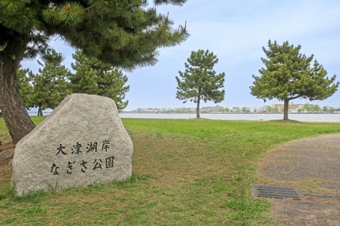 26664945_s