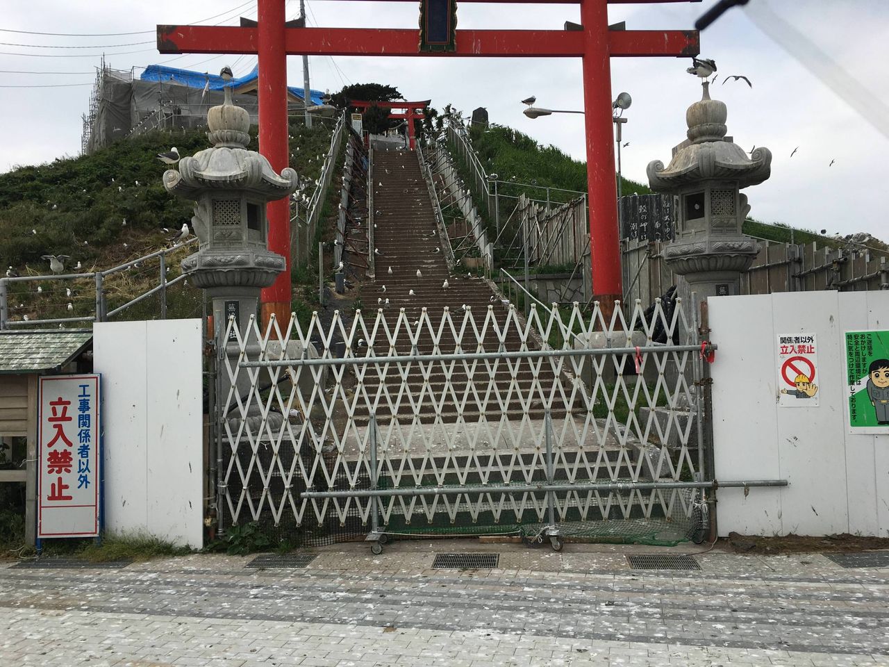 ワイ ウミネコ繁殖地の蕪島に着く 旅行行こうず ー国内旅行まとめ