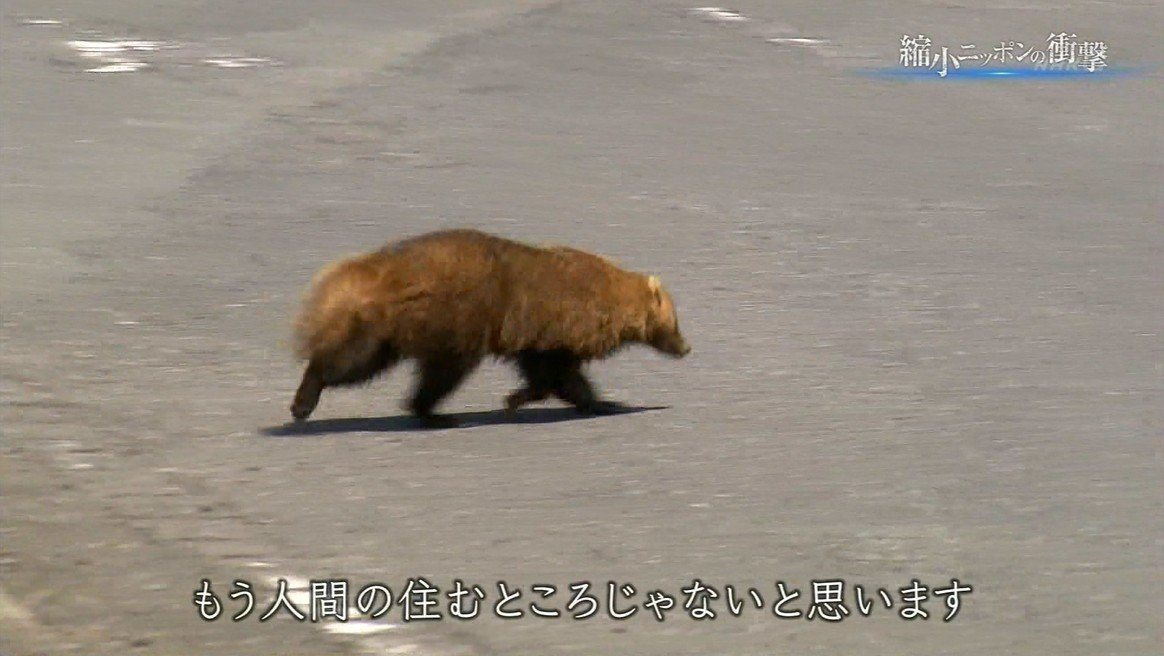 悲報 島根県 人口が大正時代を下回る 旅行行こうず ー国内旅行まとめブログー 悲報 島根県 人口が大正時代を下回る 旅行行こうず ー国内旅行まとめブログー