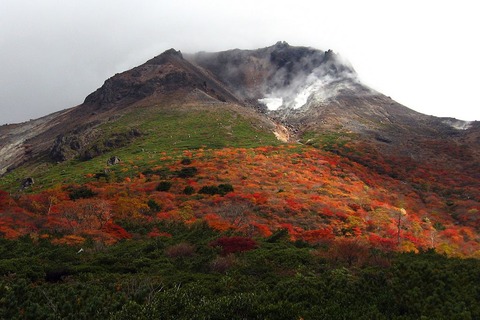 1024px-Nasu_chausudake