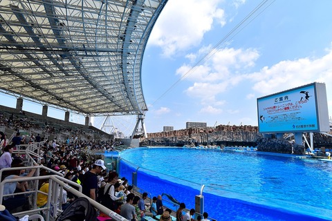 1280px-Port_of_Nagoya_Public_Aquarium2