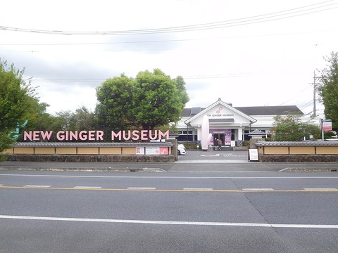 1024px-New_Ginger_Museum