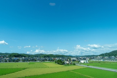 33581263_s