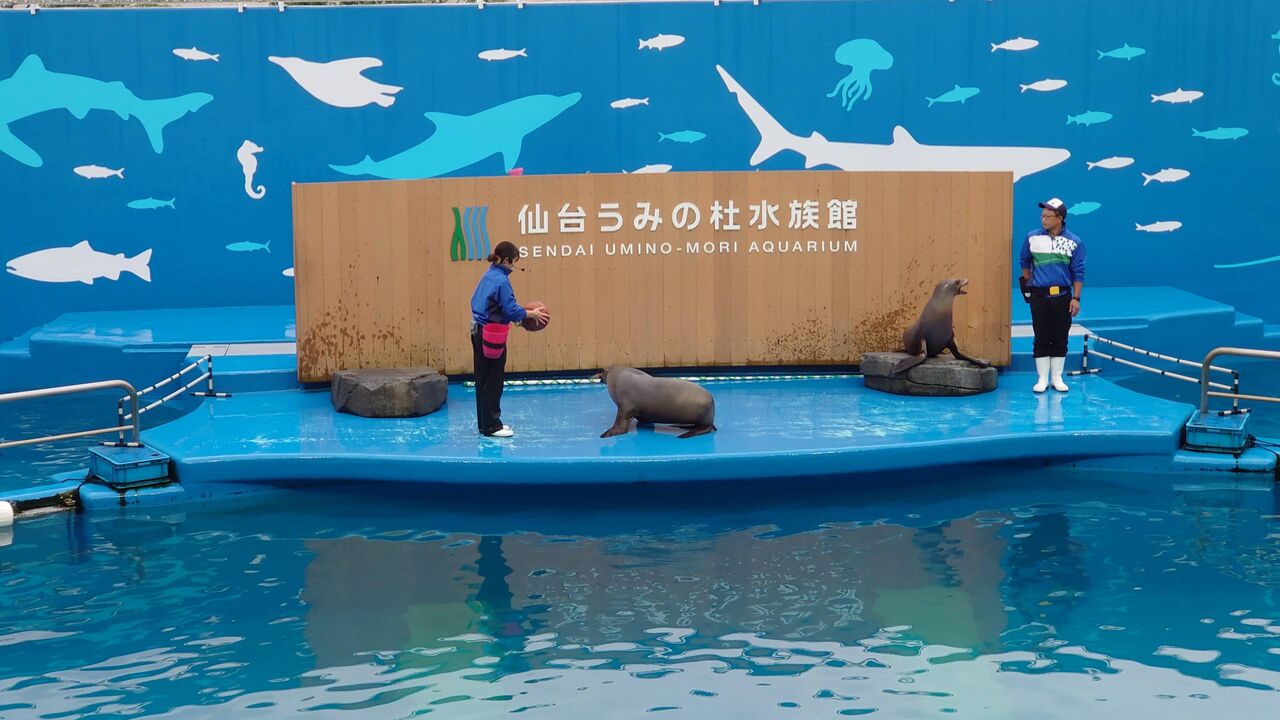 仙台駅 前がやばい 旅行行こうず ー国内旅行まとめブログー 仙台駅 前がやばい 旅行行こうず ー国内旅行まとめブログー