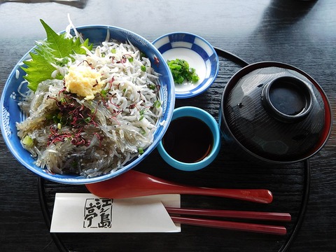 1024px-Whitebait_Rice_Bowl_at_Enoshima
