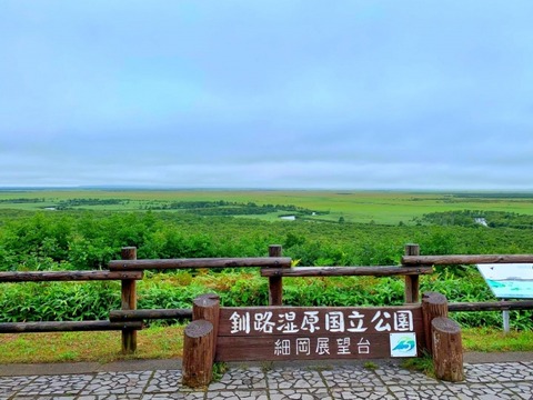 3955392_s