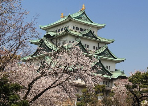 (with_Sakura)_Nagoya_Castle_Keep_Tower