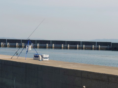 26605477_s