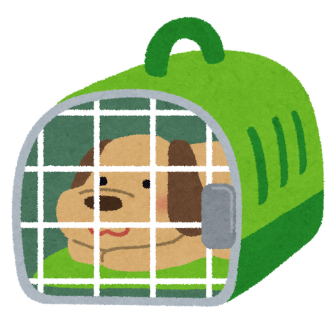 pet_carry_cage_dog