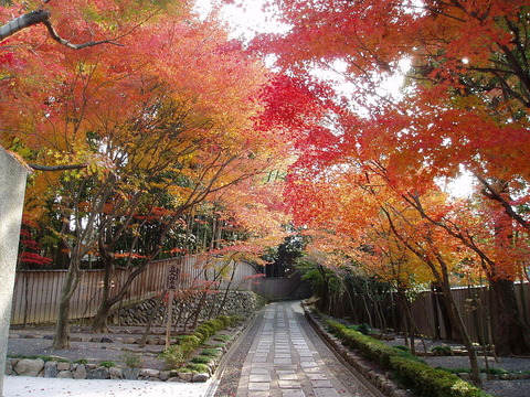 1024px-東福寺(051128)_28