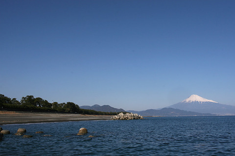 Mt_Fuji_at_Mihonomatsubara