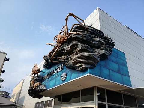 800px-Numazu_Deepblue_Aquarium_20200816_01