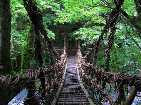 800px-Tokushima_Miyoshi_Okuiya_Double_Kazurabashi_4