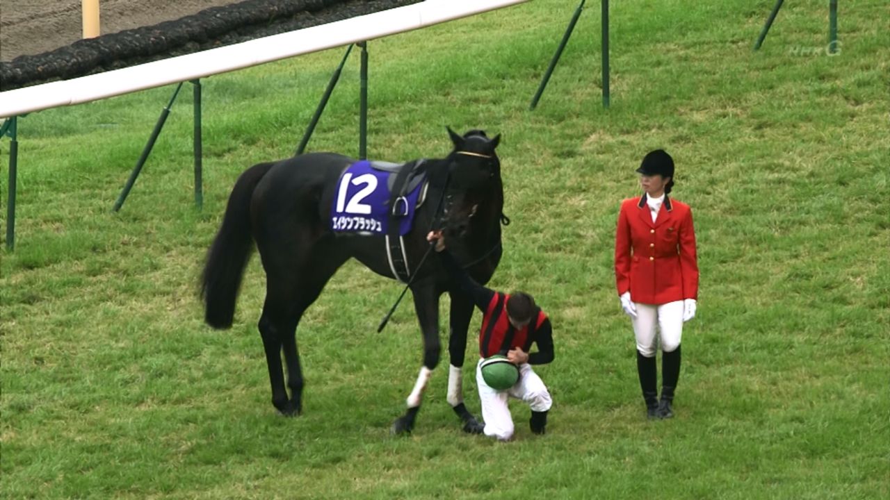 たまごとみんなの競馬ブログ競馬史に残る天皇賞・秋コメントトラックバック