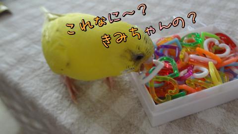 Gaf1OX71.jpg