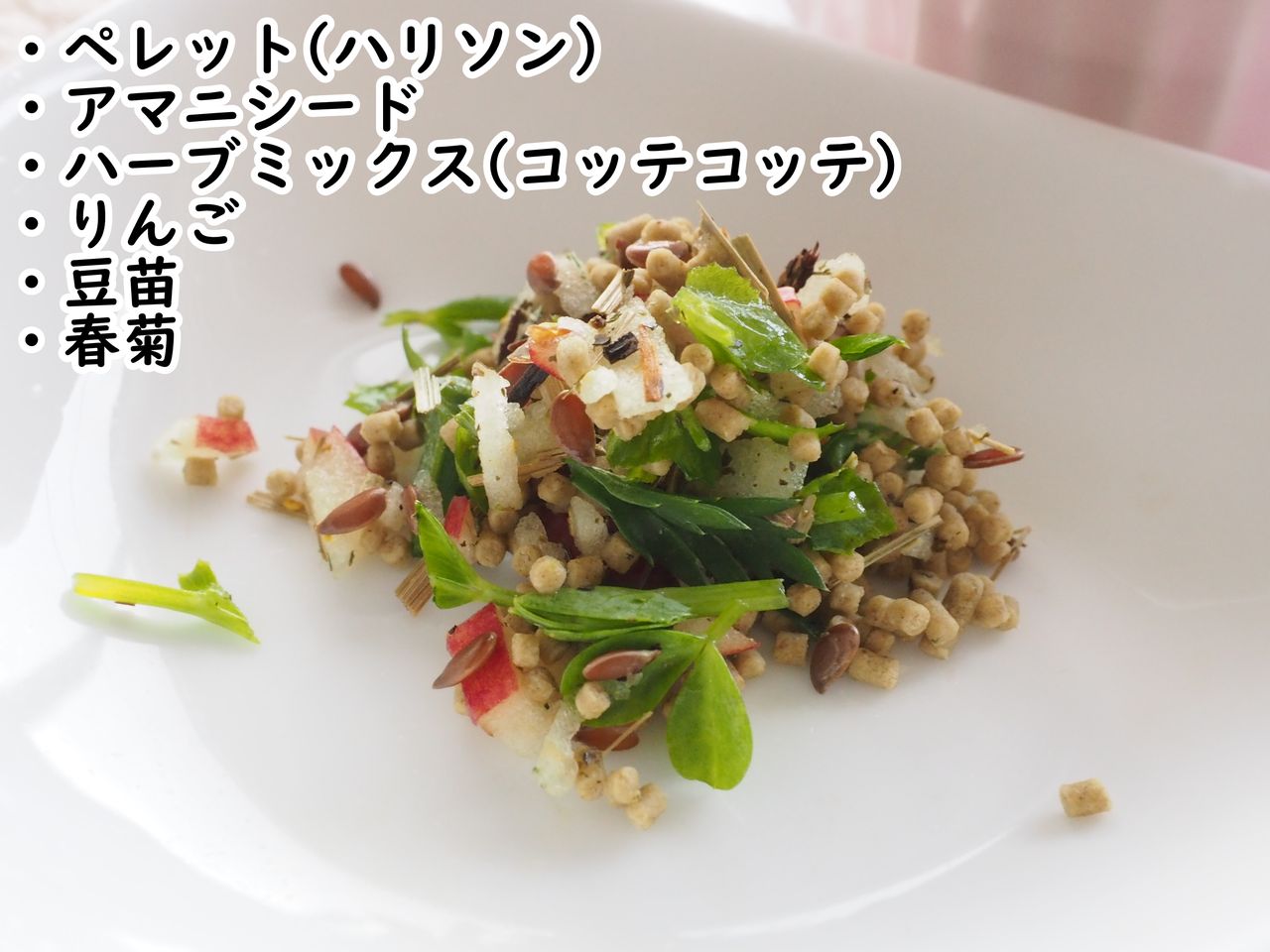 きみちゃんの羽根解析 たまごのなかみ