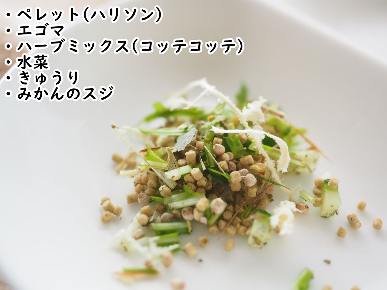 2月のインコたち たまごのなかみ