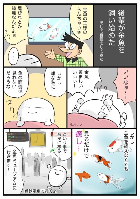 kingyo1