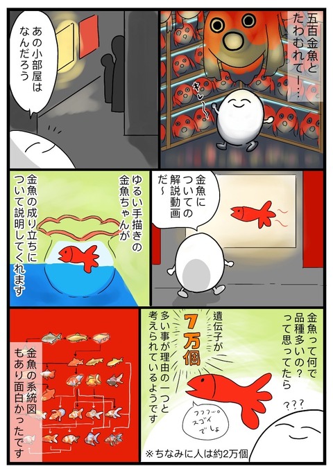 kingyo9