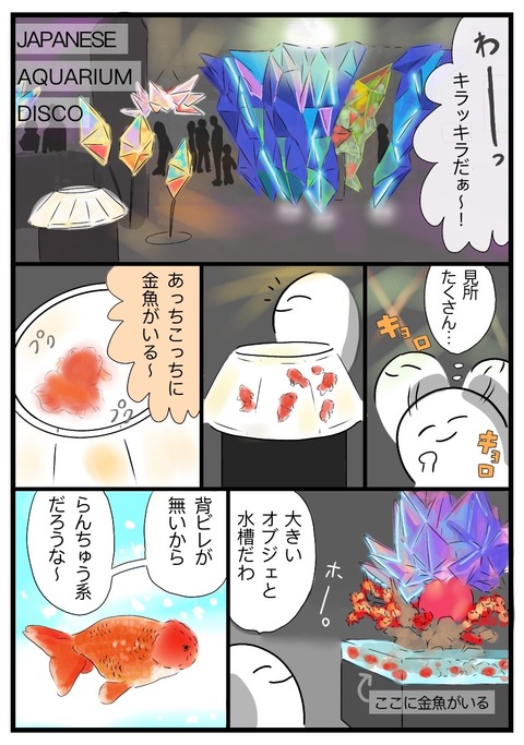 kingyo6
