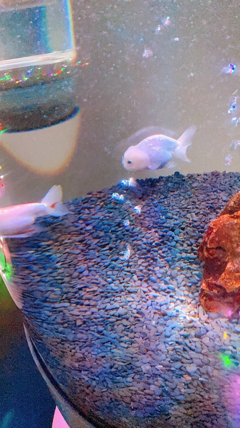 66CBFCB0-9E73-40D7-AD7D-0232BEBFFB79