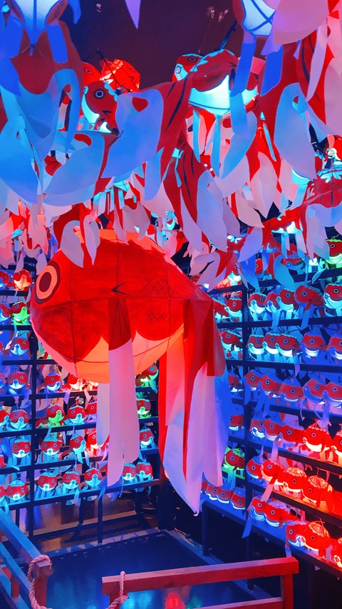 D2500512-4396-4B5A-B308-84EE4BA8F5B4