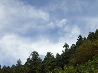 PA270226_512