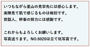 スクリーンショット 2024-06-15 123752