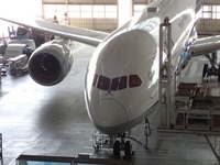 42里山ANA (24)_800