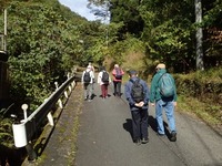 PA270219_512