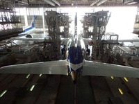 42里山ANA (22)_800