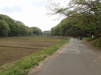 寺家谷戸風景