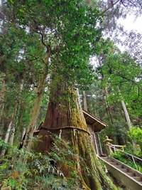 奥村6_512