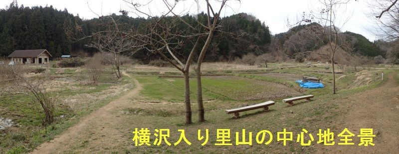 里山 横沢入り下見雑記 里山を歩く会