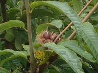 PA270273_512