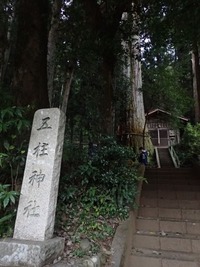 PA270266_512