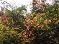 PA270223_512