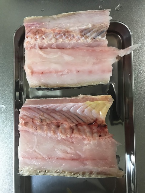 ライギョ3