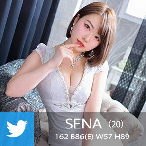 SENA_300_300