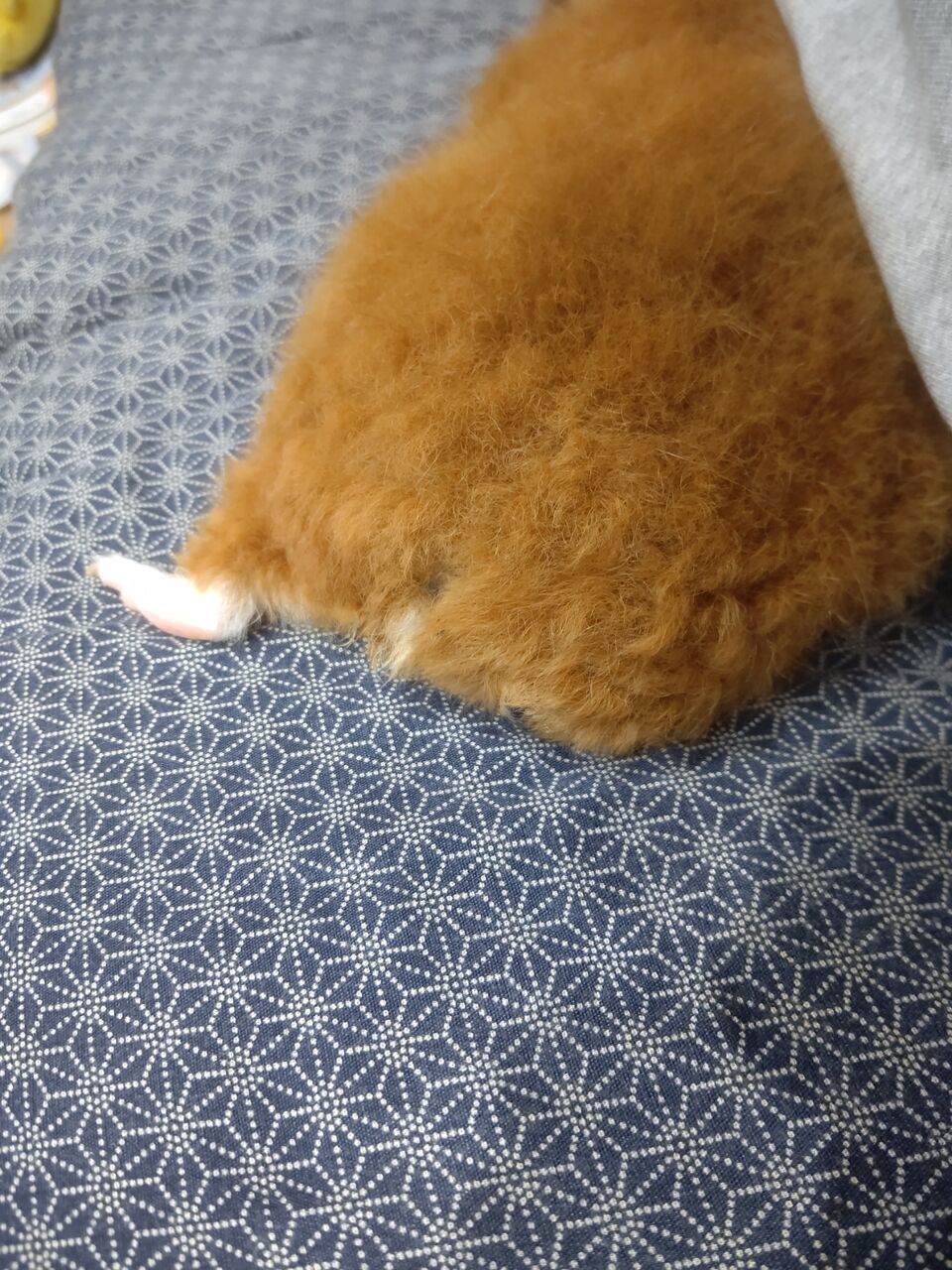 延べ竿チャレンジ クロダイ前打ち たまきんblog