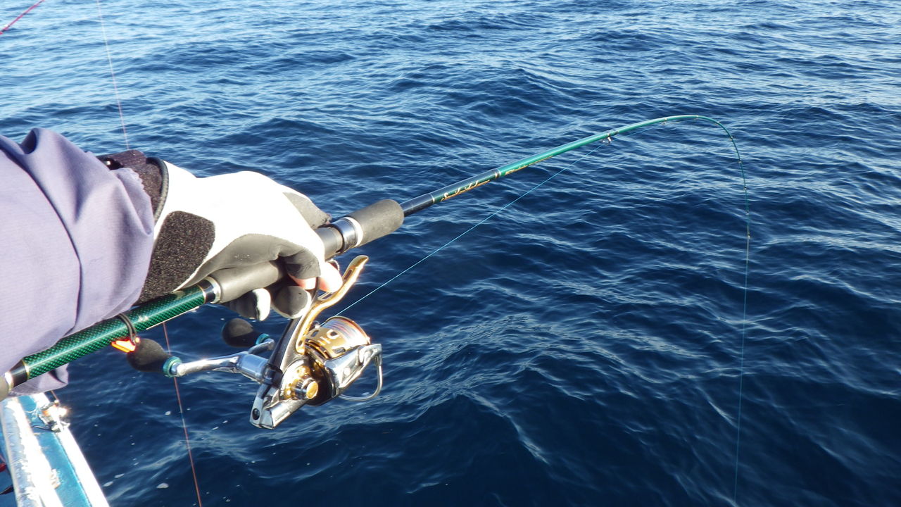 ライトタックルヤリイカへgo たまきんちゃんのblog