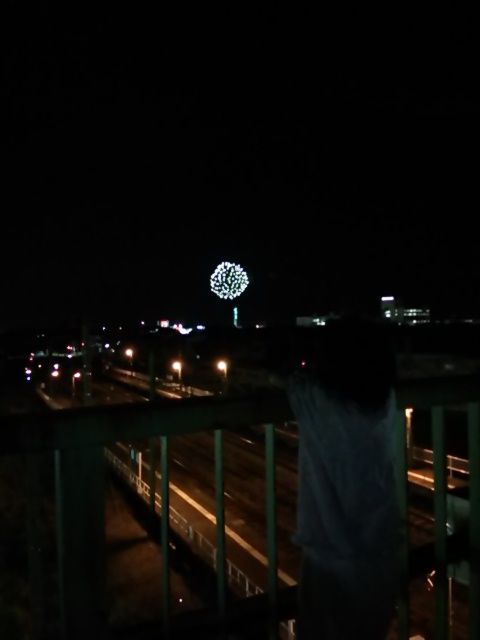 秋 イイダコも季節 たまきんblog