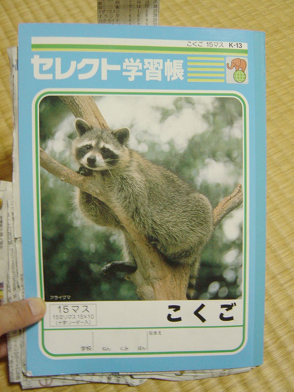 夏休み ノート１冊 自主学習の宿題 小学４年の息子くんの場合 小学生に読み聞かせ Tamaこと石井のブログ 二卵性双生児です 似てません 爆