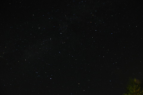 DSC_0132