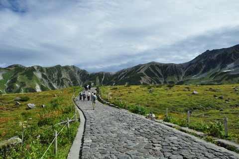 DSC_0472