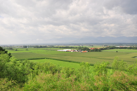 DSC_0019